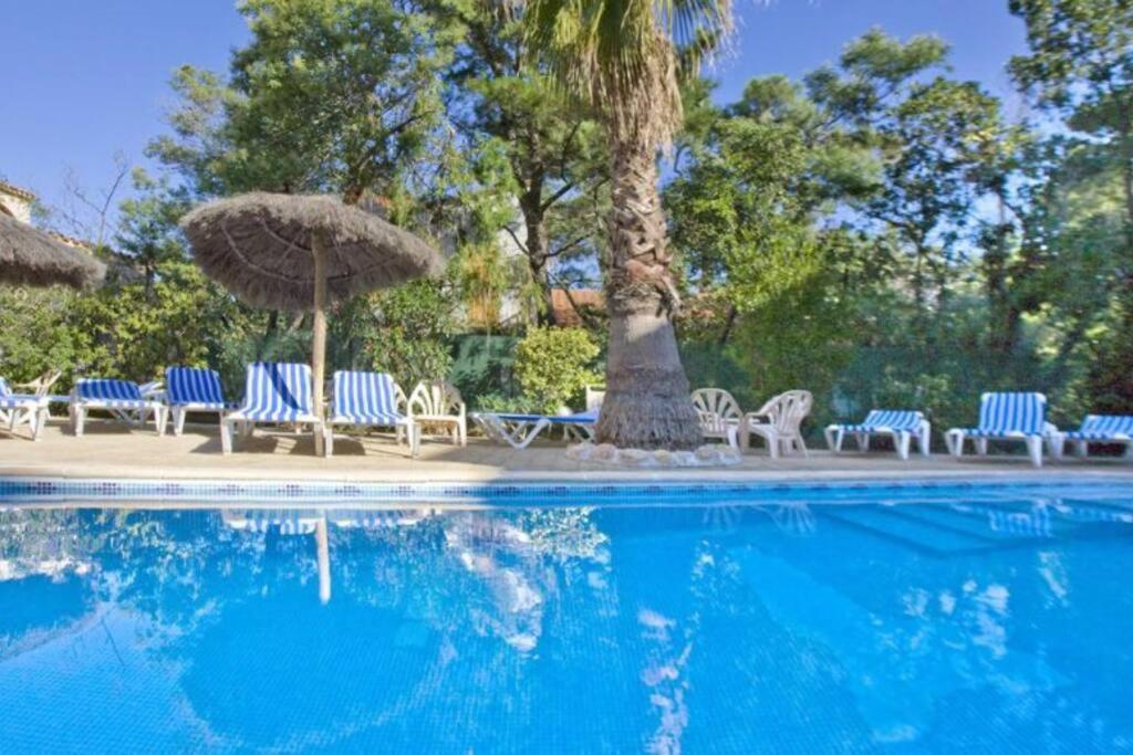 Studio/F1Bis A 50 M De La Plage Argelès-sur-Mer Exterior foto